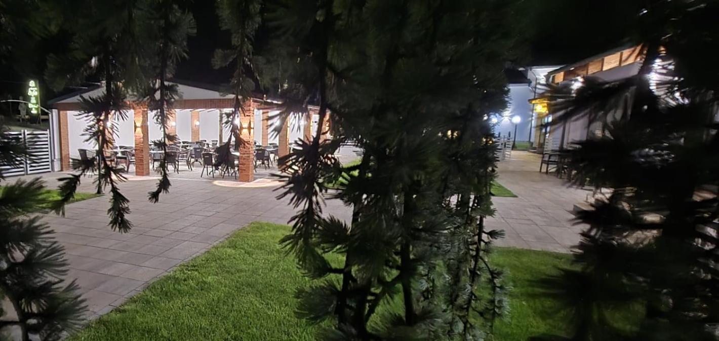 Pensiunea Sofia Satu Mare Exterior foto